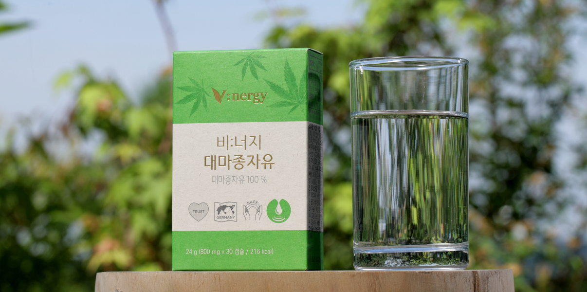 비너지 이미지3